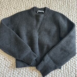 Alexander Wang Sweater